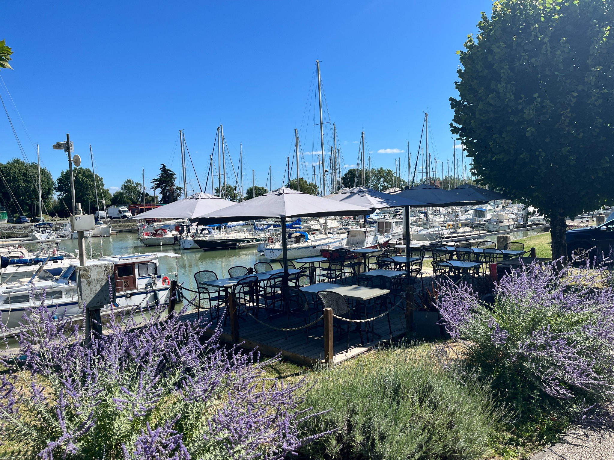 Terrasse du Bistrot du Port de l’Espérance installée le long du port de Mortagne-sur-Gironde